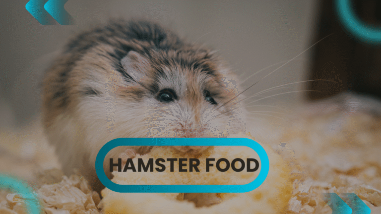 Best Hamster Foods