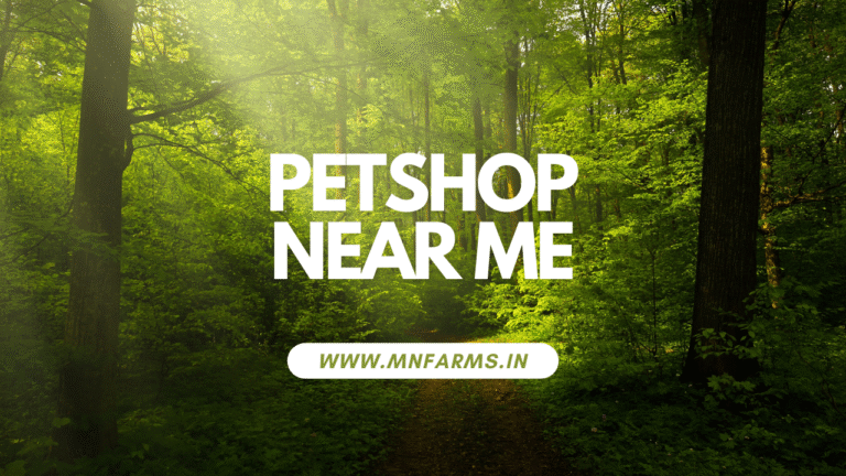 Exotic Pet shop near Me